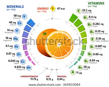 Vitamins and minerals of orange fruit. Infographics about nutrients in orange. Qualitative illustration about orange, vitamins, fruits, health food, nutrients, diet, etc