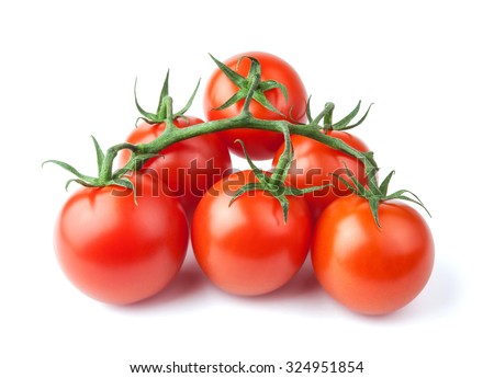 Ripe fresh cherry tomatoes on branch Isolated on white background