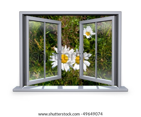open white window a view to the flower