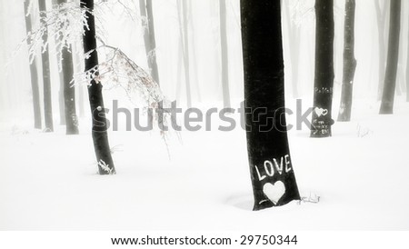 beautiful winter mood,heart and love written on a tree