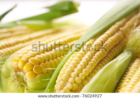 corn with leaves