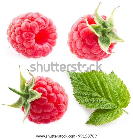 collection. raspberry and leaf isolated on white