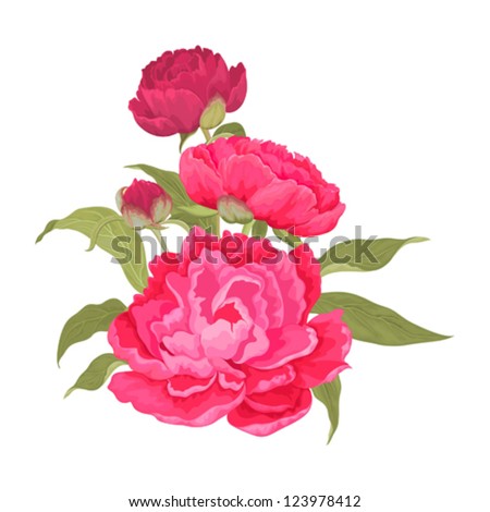 Pink peonies Pink peonies