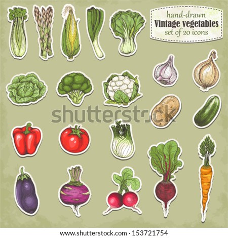 Hand-Drawn Collection Of Icons Vegetables, Vector Illustration In Vintage Style.