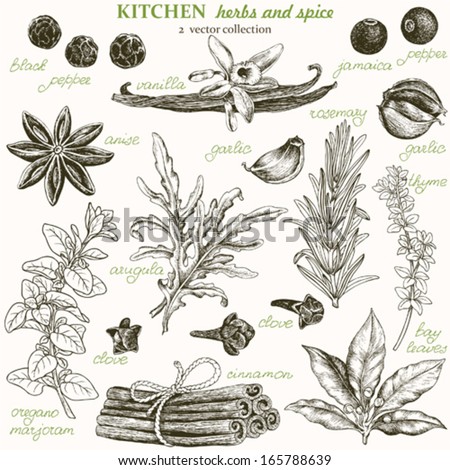 Kitchen Herbs And Spice, Vector Collection 2.