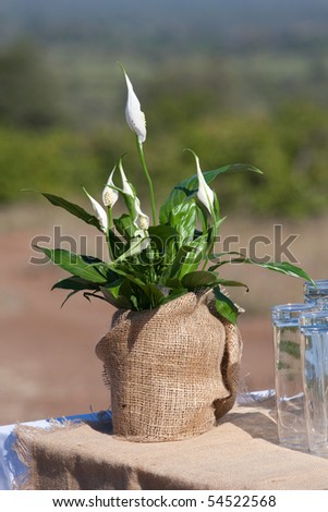 stock photo A flower arrangement outdoors at a wedding reception