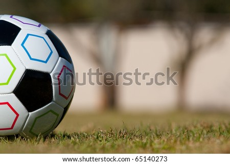 Half of a soccer ball photographed at ground level
