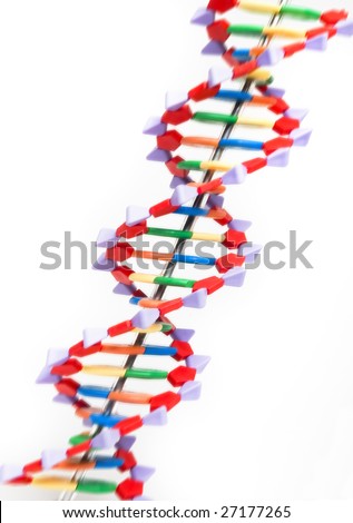 Model showing DNA structure