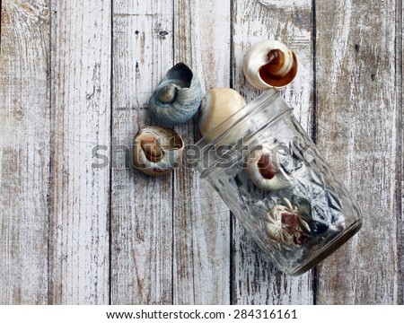 Seashells spilling out of clear jelly jar onto light distressed wood background. Photo has a rustic feel.