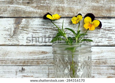 Tiny pansy flowers in clear glass jelly jar against rustic white wood background.