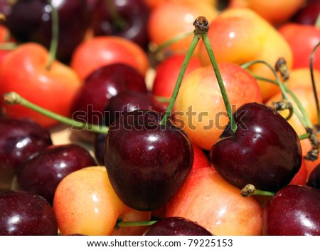 Red and white cherries focus on two red cherries connected by stems.