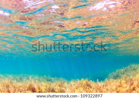 Underwater with waves and rays of light