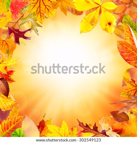 Autumn frame with falling leaves