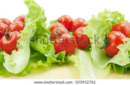 Tomatoes and cherry  on the green salad  background