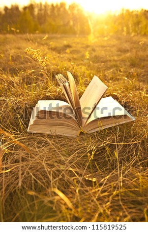 opened book with landscape - lying on yellow grass on sunset