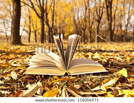 magic book on background autumn Fall forest landscape