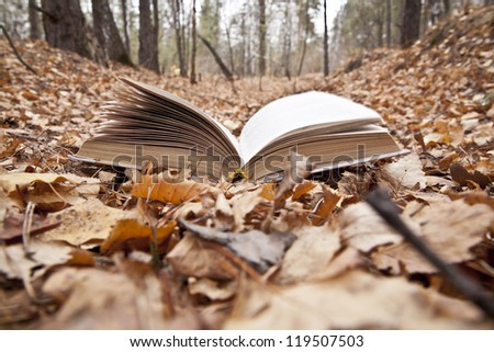 magic book on background autumn Fall forest landscape