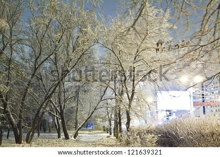 Winter evening in forest in cold evening on the background lights and billboards
