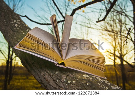 opened book with landscape - lying on tree on blue sky sunset