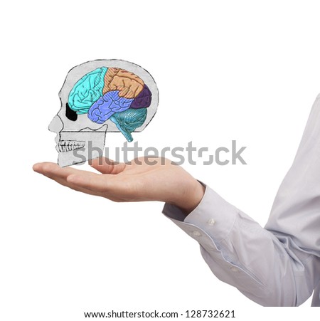 hand holding skull with colorful brain