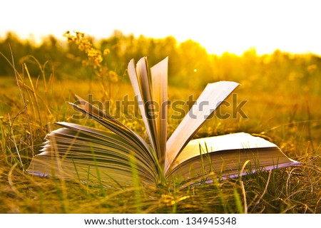 opened book with landscape - lying on yellow grass on sunset