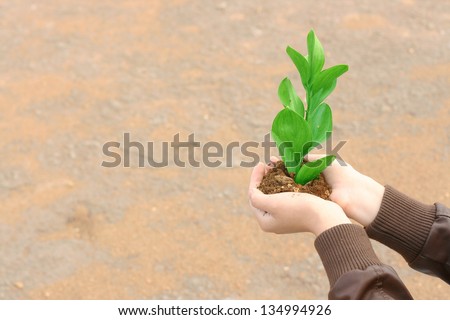 girl holding a green plant with soil to plant in the ground