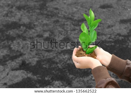 girl holding a green plant with soil to plant in the ground