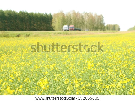 Background of Countryside road with rapeseed green and yellow field alongside under sky Raps summer meadow with trucks and car driving on highway