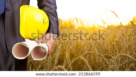 torso engineer or worker hand holding yellow helmet for workers security and blueprint paper plan against the background of yelloe sunset reap wheat field and sunrise sky and forest in perspective