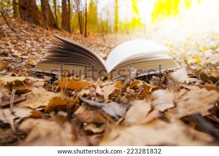 Nature with object Background of opened book with landscape - lying in autumn park on yellow and orange dry leaves on sunset sky and fall forest backdrop Empty copy space for inscription