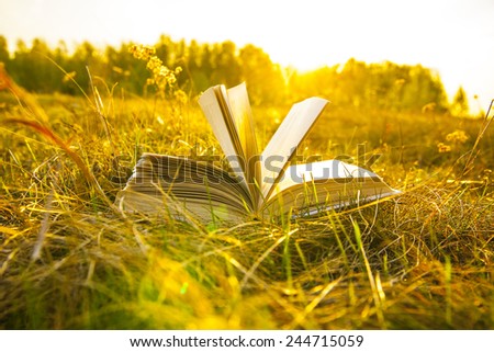 Background of open texture page book with horizon on sunset  lying in autumn fall field on dry yellow green fresh grass on sun set sky and spring forest backdrop Idea of back to school