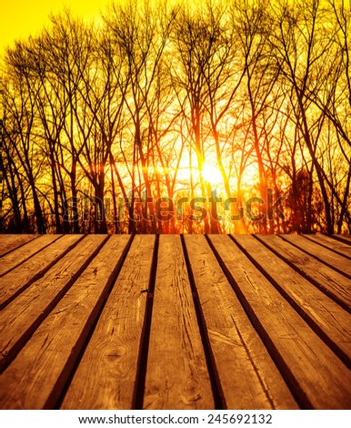 Sunset nature backdrop Yellow autumn fall or spring background Empty texture old retro vintage aged wooden board table space from pumpkin on halloween Against forest on park with sun rays sky