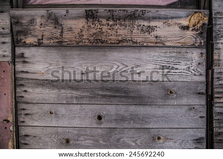 Background of natural material of Old retro vintage aged natural wooden board door texture shabby backdrop close up Dramatic light on surface