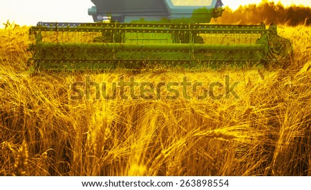 Harvesting machine on ripening ears of yellow wheat field on the sunset cloudy orange sky background of the setting sun on horizon Idea of a rich harvest Close up nature photo Horizon in rural meadow