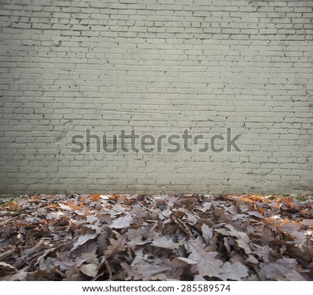 backdrop of High resolution white brick room Bright room with autumn fallen leaves on floor and gray wall background