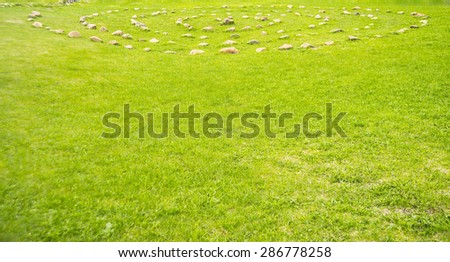 Circle of rocks in the green grass Rows of stones arranged in concentric circles lying in summer meadow Empty space for objects or inscription