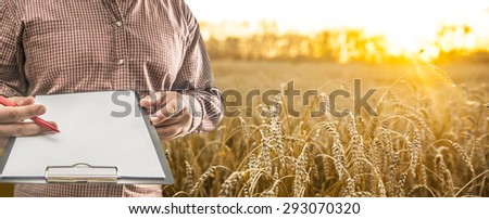 No face Unrecognizable person Businessman hold empty list of paper red pen Business man wear brown shirt Copy space for inscription Experienced agronomist examining wheat grain in field Takes readings