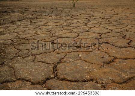 Dry lake bed with natural texture of cracked industrial emissions in perspective floor. Death Valley field . background. Brown soil dark land. Idea concept symbol disaster ecology in nature Alone tree