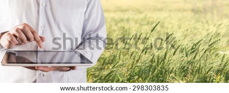 No face person Businessman hold tablet touch pad computer Botanic scientist man wear shirt Copy space for inscription Experienced agronomist examining wheat grain in field Takes readings Agribusiness