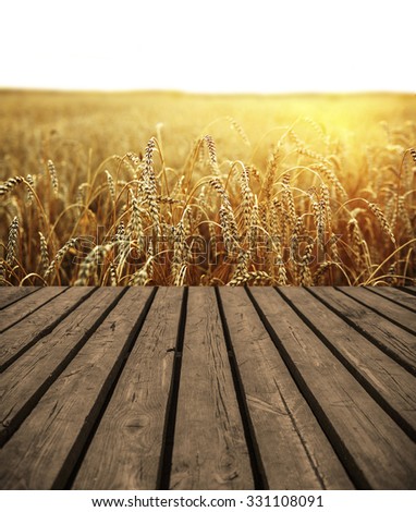 wood board table backdrop of ears of yellow wheat field on sunset cloudy orange sky background Copy space of setting sun rays on horizon in rural meadow Close up