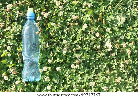 water bottle  plastic water bottle on grass
