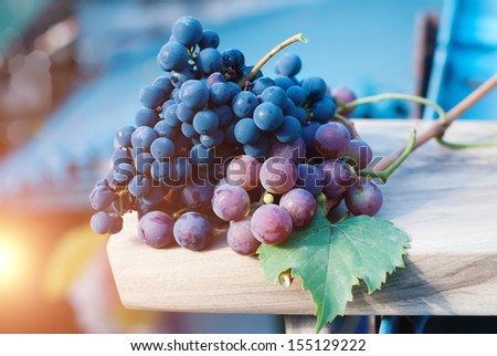 Food background. Grapes in sunlight. Healthy food. Healthy eating.