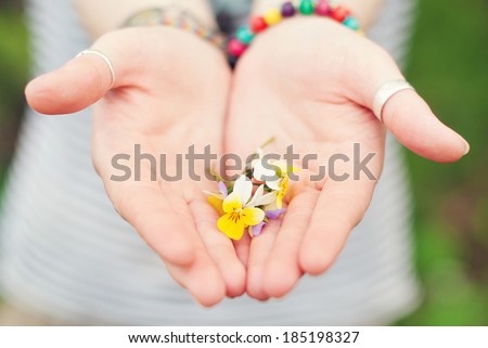 Spring Flowers Violets in Woman\'s Hands. Spring time. Summer time.