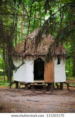 Old house of witch in forest