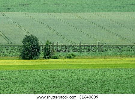 cultivated land in early spring landscape