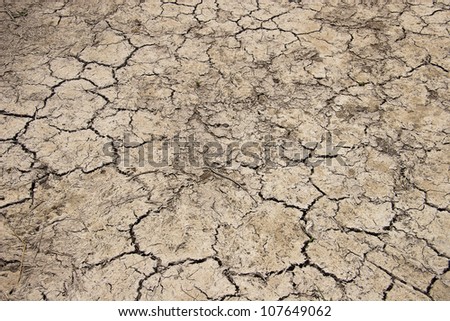Dry cracked earth texture (background) - Texture Series