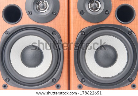 wooden sound speakers isolated on white