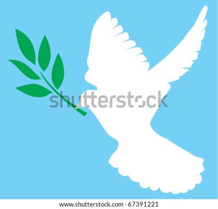 stock vector vector white dove with olive