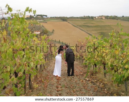 Italian wedding