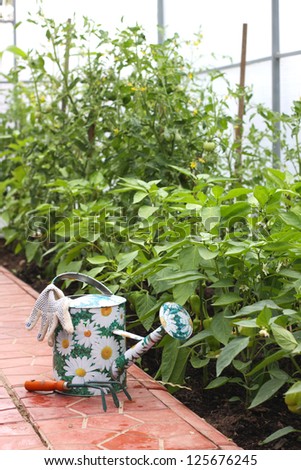 Watering can and garden instruments